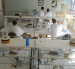 Un laboratoire de biochimie