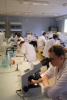 Un laboratoire de microbiologie